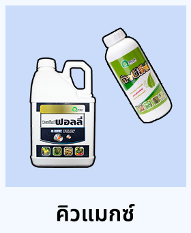 หมวดหมู่สินค้าแนะนำของเรา ร้านทุเรียน เรียนไม่จบ ปุ๋ย - ยา ออนไลน์ โรคพืช เชื้อราต่างๆ คิวแมกซ์ สารกำจัดไร อุปกรณ์ และเซฟตี้