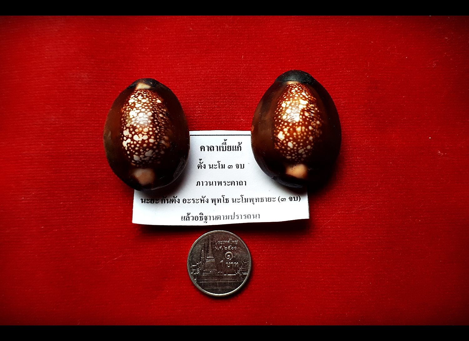 เบี้ยแก้ รุ่นแรก (ตัวเล็ก ด้านหลังอุดยาวาสนาจินดามณีทับแผ่นตะกั่ว จารย์อักขระ ) ปี2563