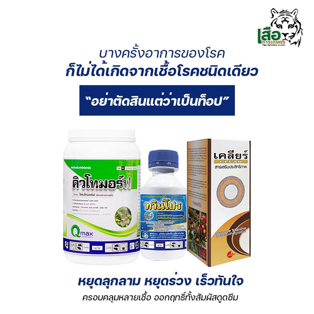 ชุดหยุดท็อป รวดเร็ว ครอบคลุมหลายเชื้อ ป้องกันการลุกลาม