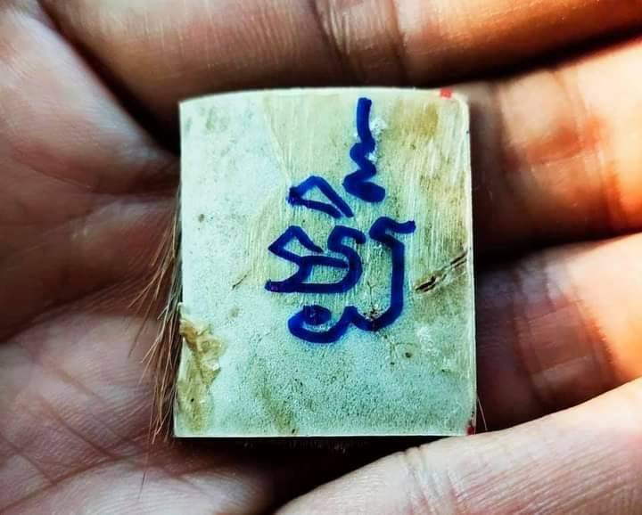 หนังเสือ (เสือไฟแท้) ด้านหลังจารย์ยันต์ (จัดสร้างใน ปี2564 แค่เพียง42แผ่น เท่านั้น) #รับประกันแท้