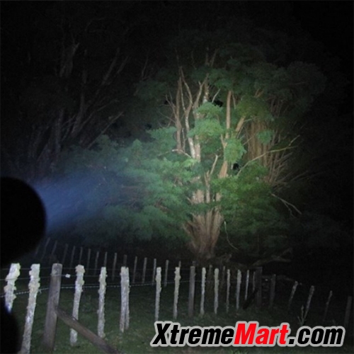 ไฟฉาย Convoy S2+ Blue XML2 U2-1A 7135 x 8 แสงขาว 3/5 โหมด 1000 LM Flashlight (สีฟ้า)