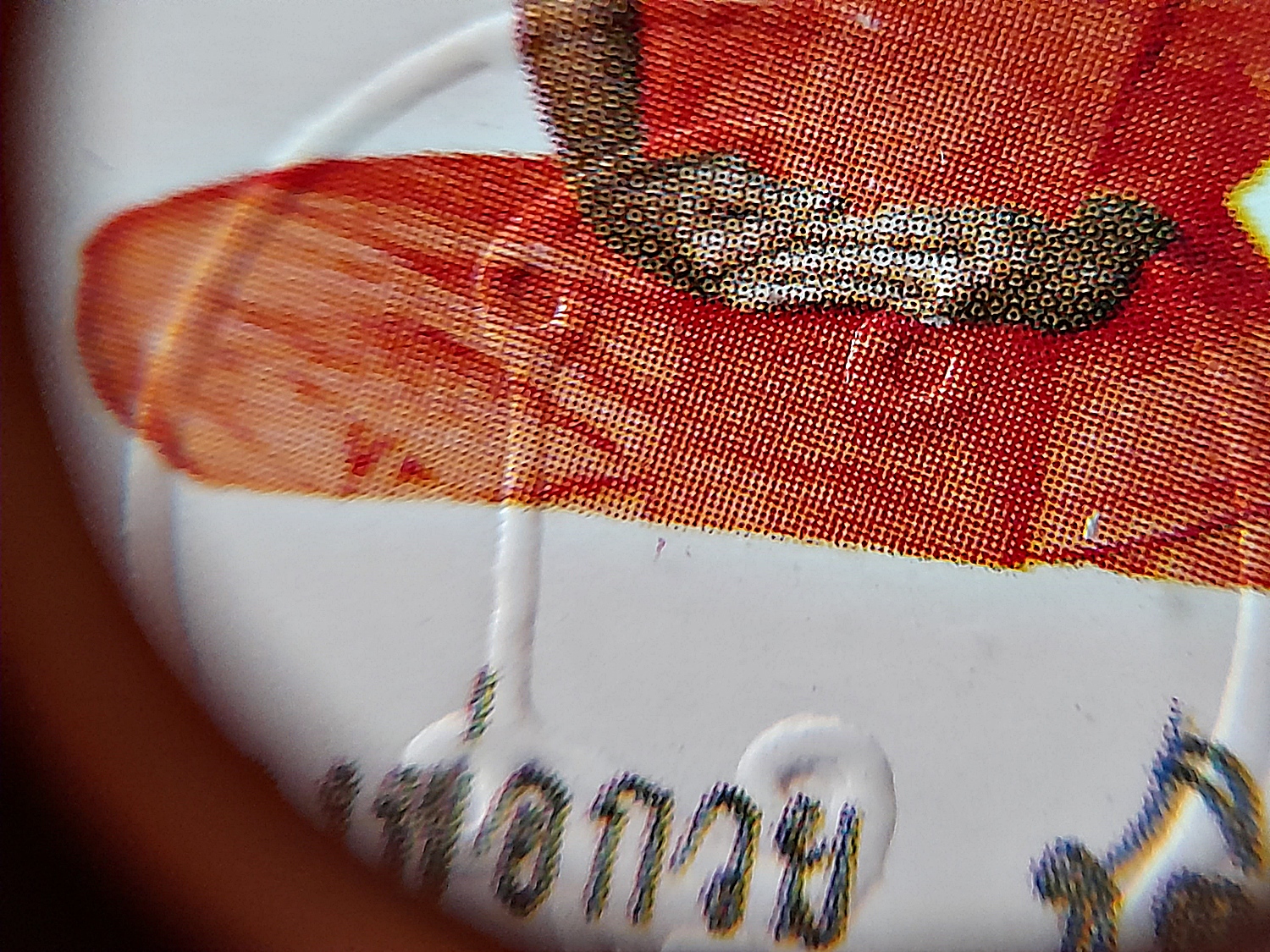 รูปภาพ(ขนาดห้อยคอ เลี่ยมกันน้ำ) หลวงพ่อกวย วัดโฆสิตาราม(วัดบ้านแค) จ.ชัยนาท ปี2563 - (จีวรส้ม ด้านหน้ายันต์ครู ยันต์นะปัดตลอด ด้านหลังยันต์มงกุฎพระพุทธเจ้าหนุนดวง) ปี2563 #สร้างและปลุกเสกจากวัดโฆสิตาราม #รับประกันแท้