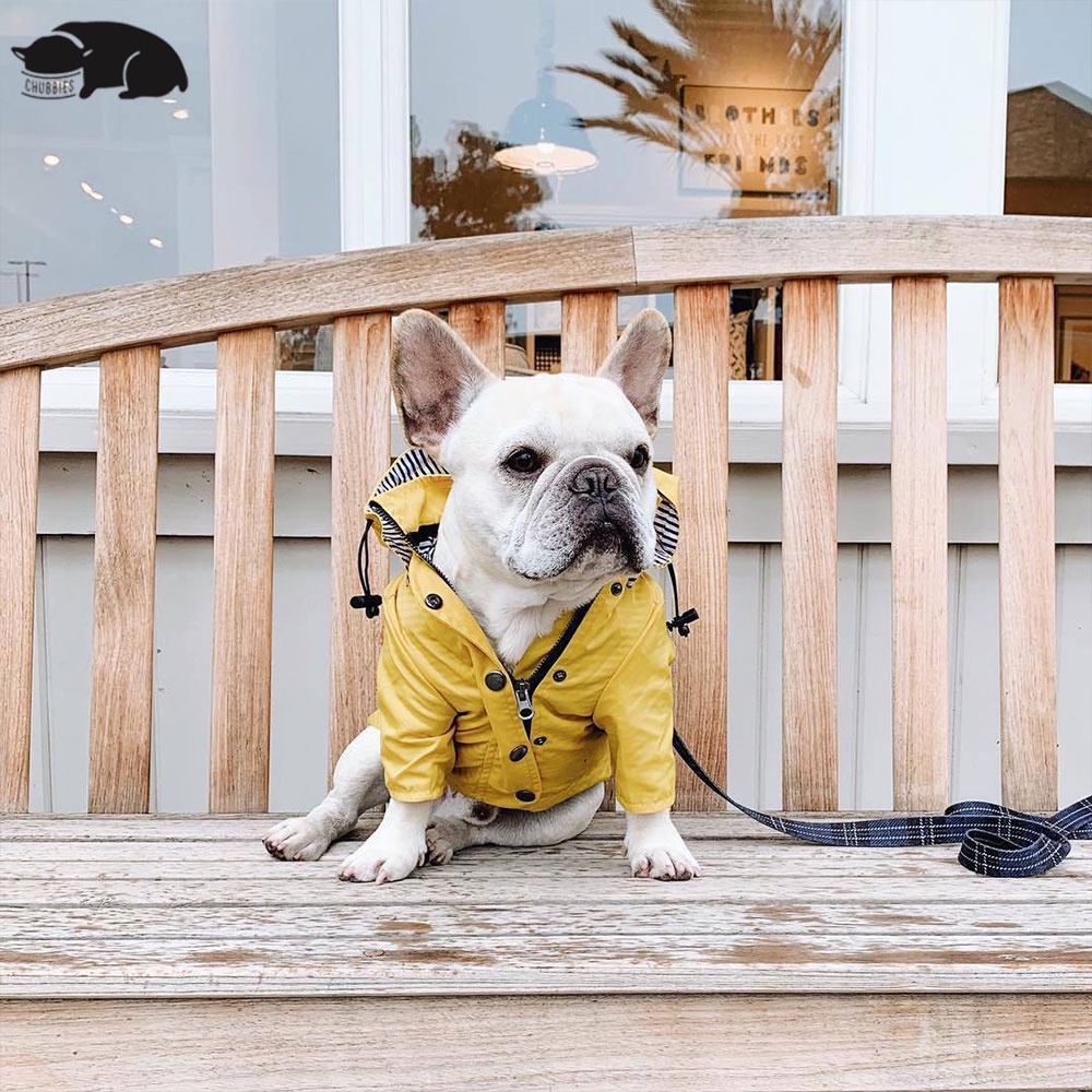 C173 เสื้อกันฝนสุนัข Georgie Yellow Raincoat กันเลอะ ใส่ง่าย กันฝนได้ดี เสื้อกันฝนสัตว์เลี้ยง เท่