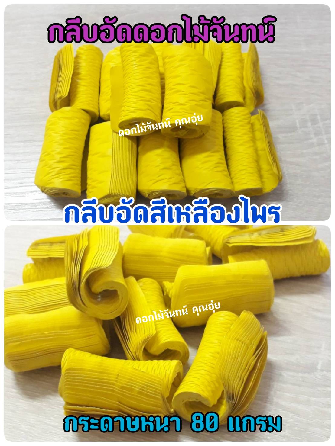 กลีบอัด สีเหลืองไพร กลีบดอกไม้จัน ดอกไม้จัน กลีบอัดดอกไม้จันทน์ กลีบอัดย่น ดอกไม้จันทร์ ดอกไม้จันทน์ กระดาษอัดดอกไม้จัน