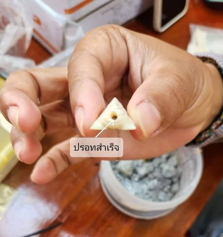 แมลงภู่ งาช้างแท้ (บรรจุเข็มทองคำ+ปรอทสำเร็จ+ยาวาสนาจินดามณี) ปี2566 #รับประกันแท้