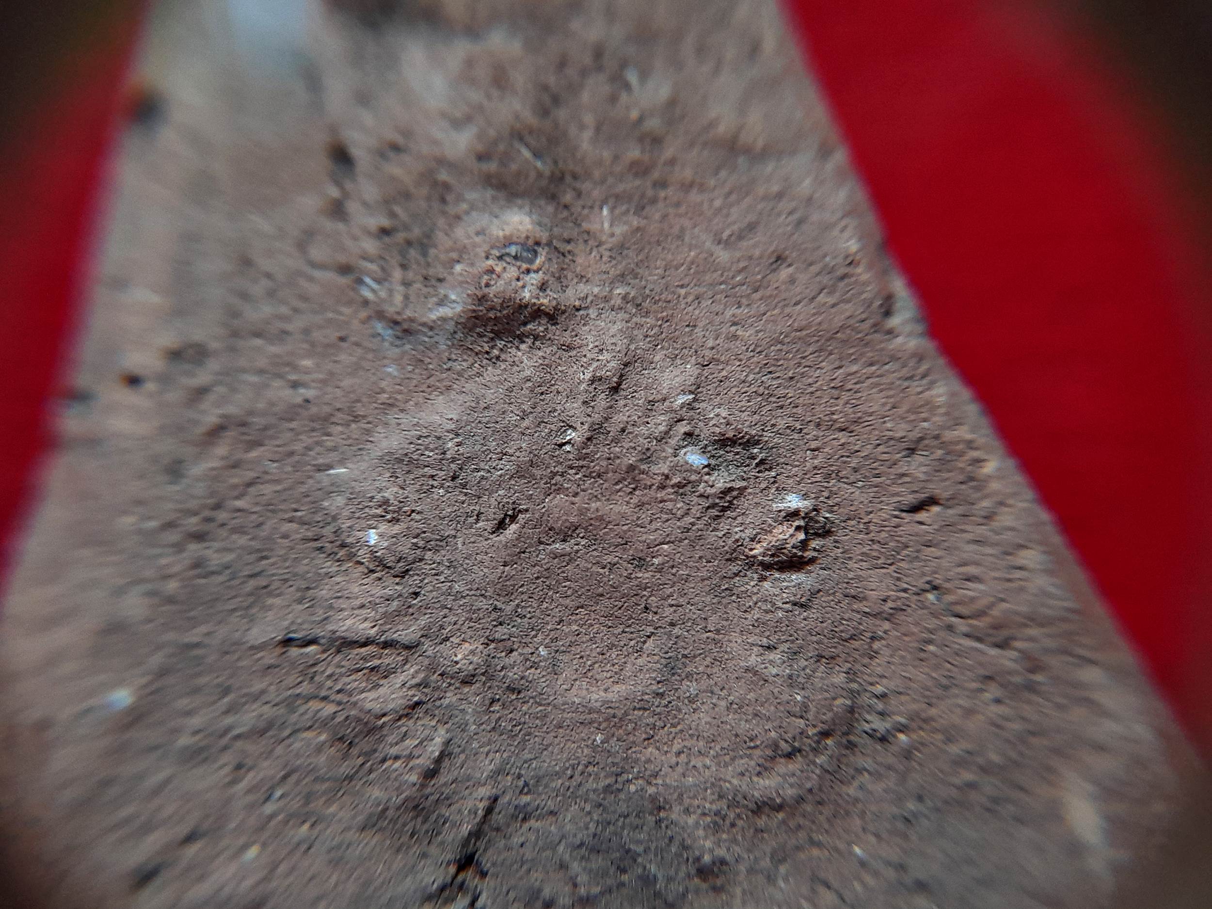 พระ 7 พระองค์ หลัง สิงห์ เนื้อดินเผ่า #รับประกันแท้และทัน - หลวงพ่อยี วัดดงตาก้อนทอง จ.พิษณุโลก (ศิษย์หลวงปู่เทพโลกอุดร)