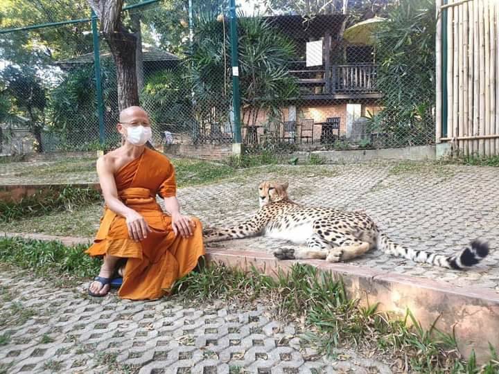 สีผึ้ง เสือ (#พิธีพยัคฆ์บารมี #เป็นเมตตาและอำนาจ) พ่อปู่ฤาษีเจ้าสมิงพรายสงเคราะห์ ปี2563 #รับประกันแท้ - หลวงพ่อเล็ก วัดท่าขนุน