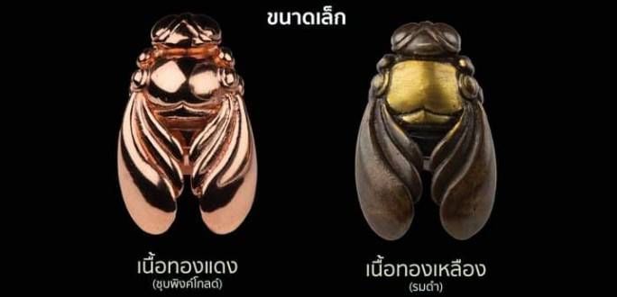 แมลงภู่ หลวงพ่อบ๊ะ วัดโพธิลังการ์ ปี2566 #รับประกันแท้