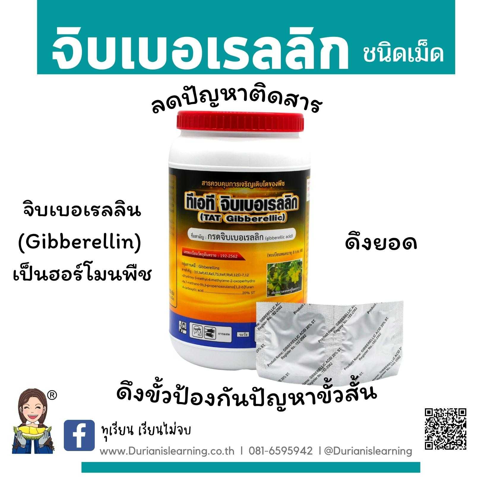 จิบเบอเรลลิก ดึงยอด ป้องกันขั้วสั้น ลดการติดสารแบ่งขายเป็นเม็ด