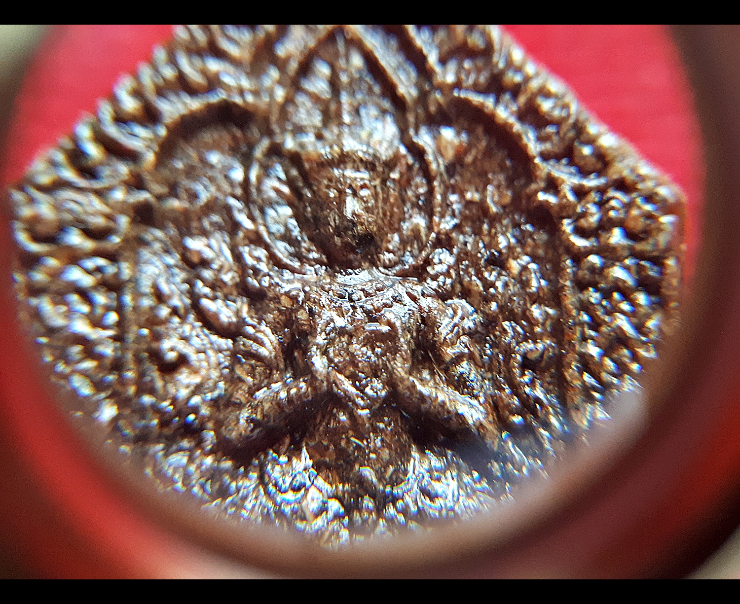 ขุนแผน มนต์พ่อเนื้อหอม พยัคฆ์ติดปีก(เพชรพญาธร) (องค์กรรมการ เนื้อผงผสมว่านต่างๆ ฝังตะกรุดสีเงิน 1ดอก) ปี2563 - ปู่จุก จอมอาคม