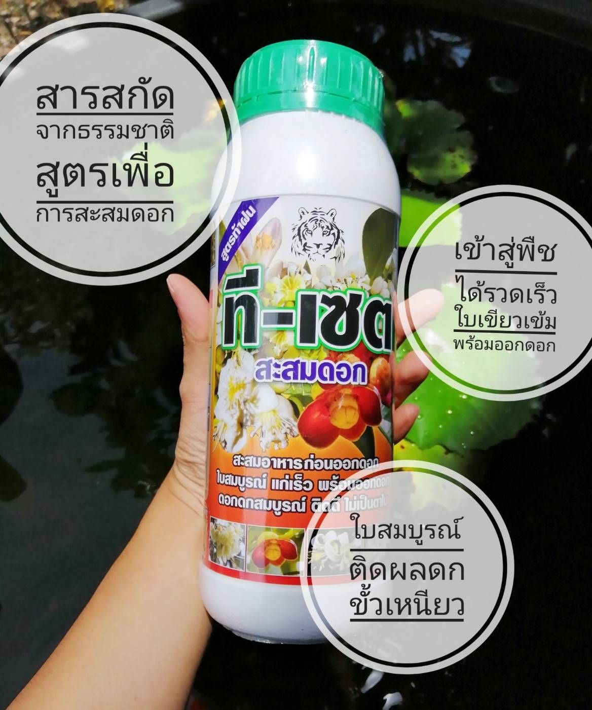 ที-เซ็ต สำหรับะสมอาหาร ก่อนออกดอกขนาด 1000 มล.