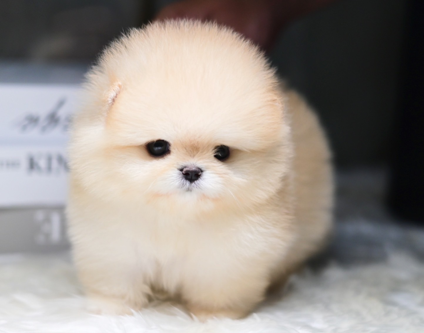 ย้ายบ้านแล้ว