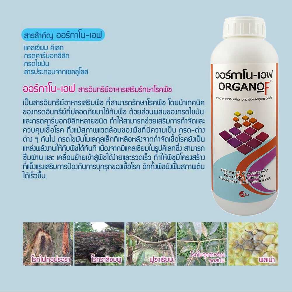เซ็ทคู่ เคลียร์ ออร์กาโน่ สารเสริมประสิทธิภาพกำจัดโรคพืช