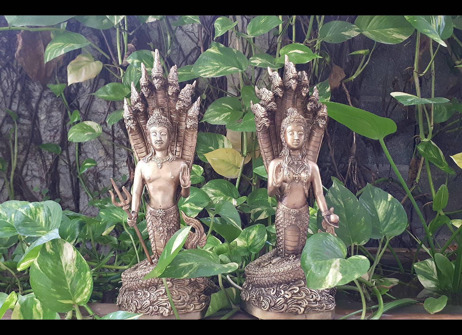 รูปหล่อ คู่ พญานาคราช ปางประทานพร ถืออาวุธ (ท่านปู่นาคา-ศรีสุทโธ ท่านยานาคี-ศรีปทุมวัน) พญานาคปรก 7ตน 7หัว โลหะทองเหลือง (ขนาดบูชา สูง15นิ้ว) (ขายปลีก ขายส่ง)