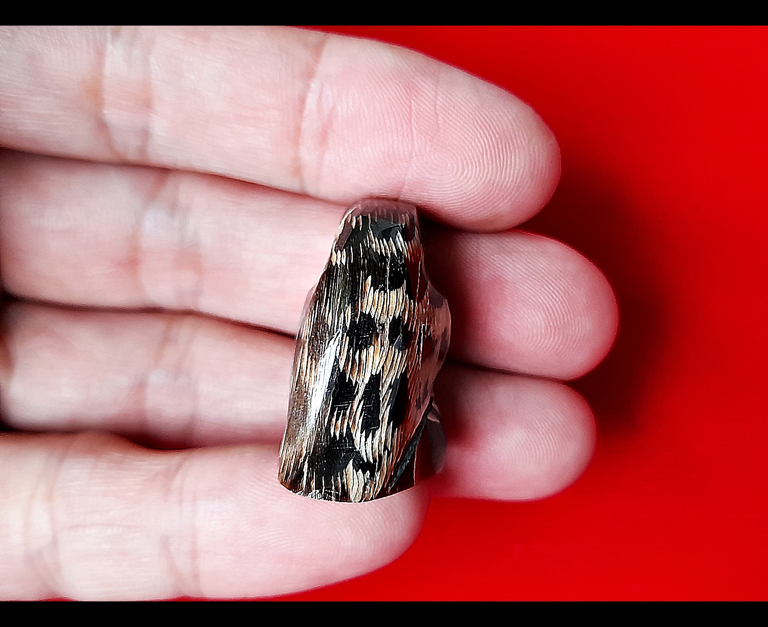 พญานกคุ้ม (แกะสลักจากเขาควายแท้) วัดโฆสิตาราม(วัดบ้านแค) จ.ชัยนาท ปี2556 - #สร้างและปลุกเสกจากวัดโฆสิตาราม #รับประกันแท้