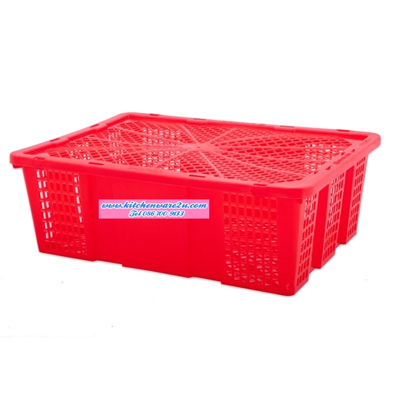 P08824 ตะกร้าผลไม้ฝาปิด ใส่ได้ 8 กิโล (36 x 48.5 x 13.5.cm.) No.293 (ราคาส่งต่อ 24 ใบ:เฉลี่ย 52 บ/ใบ) (100 ใบขึ้น เหลือ 49 บ/ใบ)