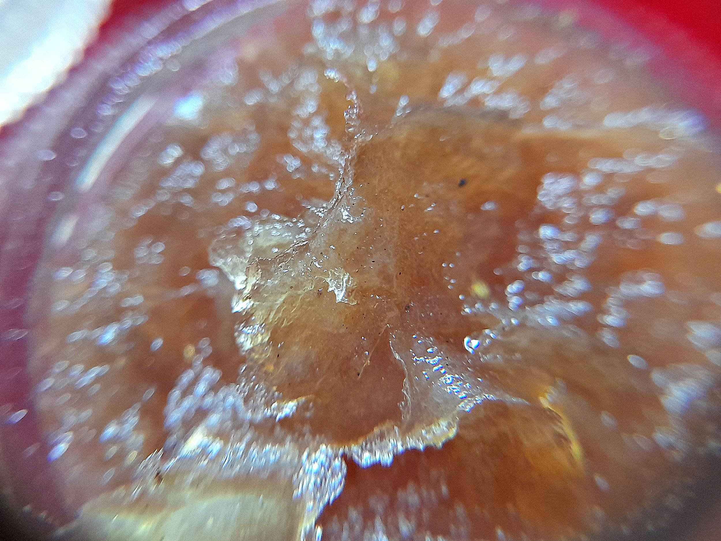 สีผึ้งพญาหงษ์ทอง ปี2553 - หลวงพ่อถาวร วัดปทุมวนาราม