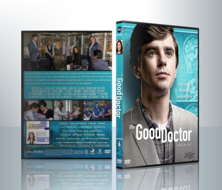 The Good Doctor Season 6 (2022) แพทย์อัจฉริยะหัวใจเทวดา ปี 6 ( 5 DVD )