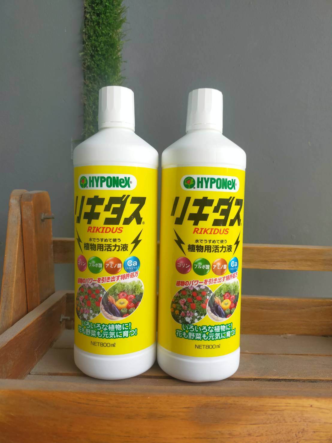 ปุ๋ยน้ำ HYPONEX (ขวดเหลือง) 800Ml. ปุ๋ยน้ำ ชีวภาพคุณภาพสูง ธาตุอาหารรอง บำรุงรากพืชให้แข็งแรง นำเข้าจากญี่ปุ่น ของแท้100%