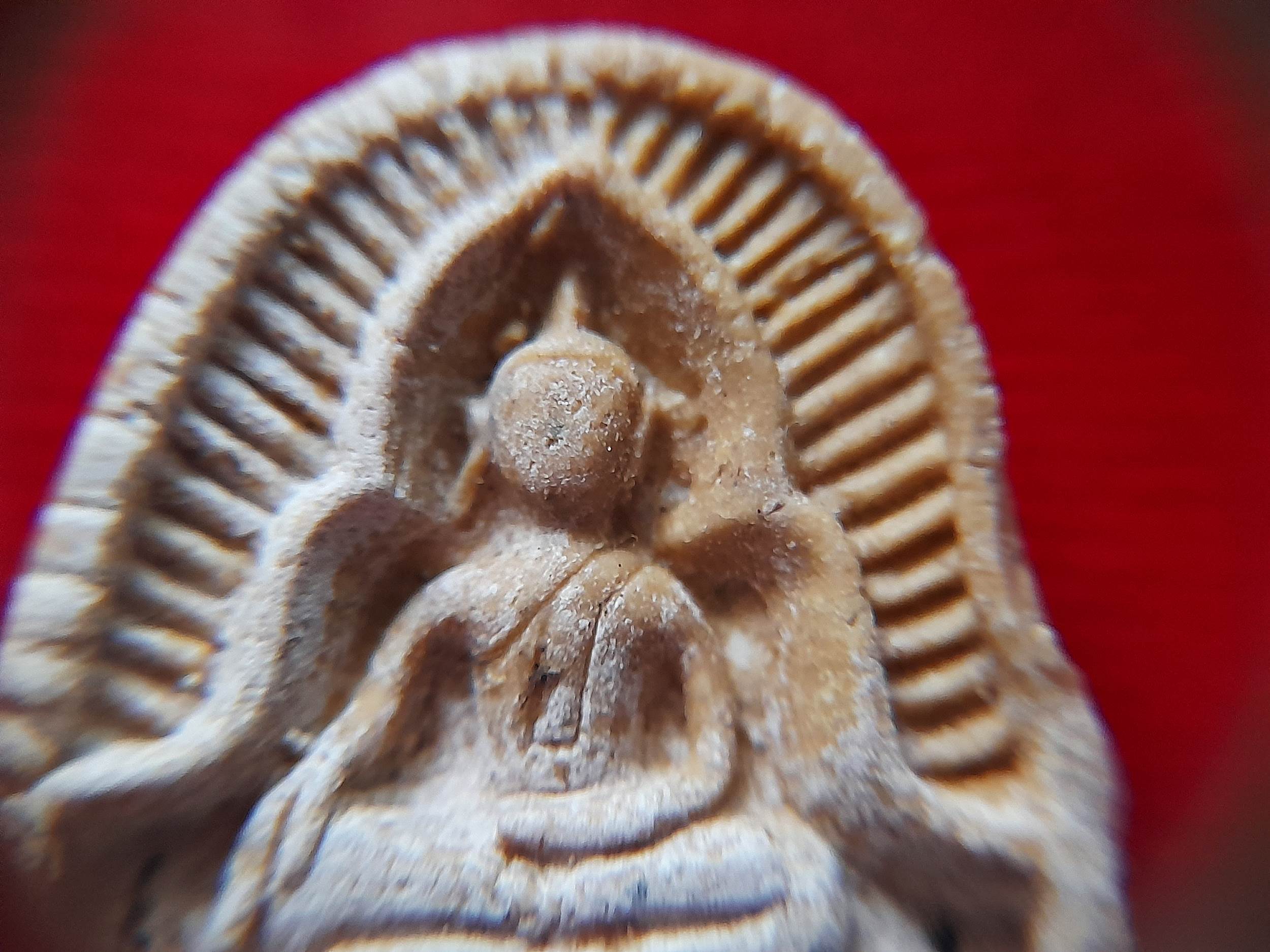 พระซุ้มกอแหวกม่าน เนื้อผง(เมตตา) ปี256X #รับประกันแท้ - พระอาจารย์ชลเทพ(พระอาจารย์เอราวัณ)