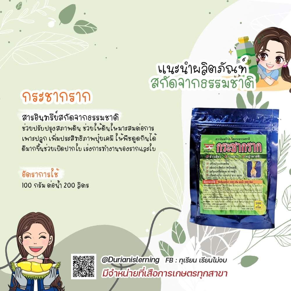 สารอินทรีย์สกัดจากธรรมชาติ กระชากราก สารเสริมฤทธิ์อาหารพืช ขนาด100กรัม