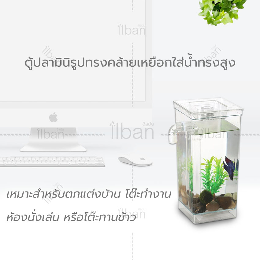 Elit ตู้ปลามินิ พร้อมไฟ LED My Fun Fish Cleaning Tank