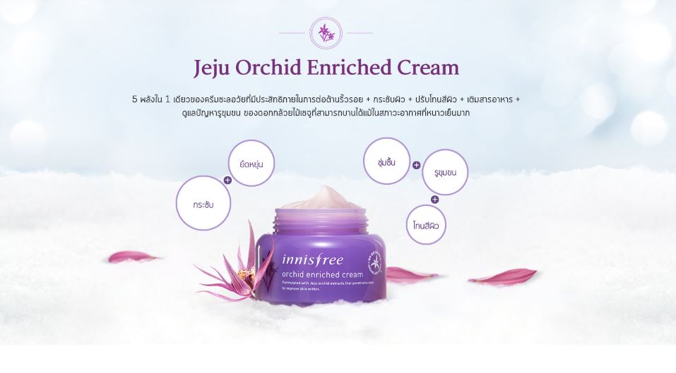 (ขายส่ง 40.-) Innisfree Orchid Enriched Cream 5mL ครีมต่อต้านริ้วรอย ด้วยประสิทธิภาพของสารต้านอนุมูลอิสระอันทรงพลังจากสารสกัดกล้วยไม้เชจู
