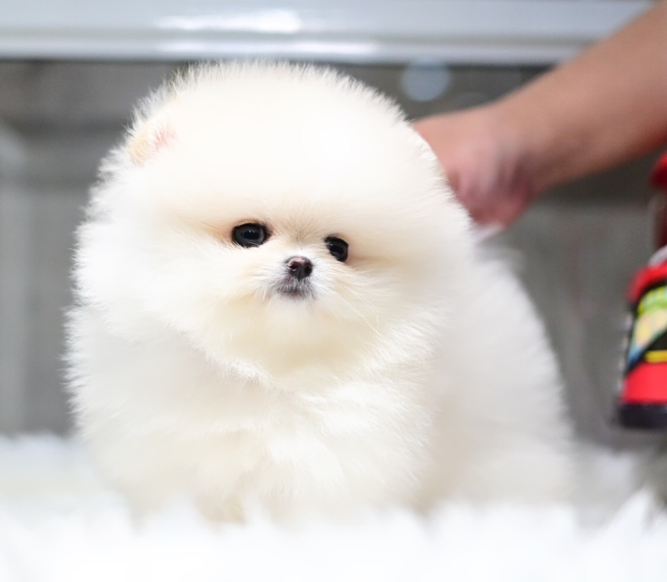 ย้ายบ้านแล้ว