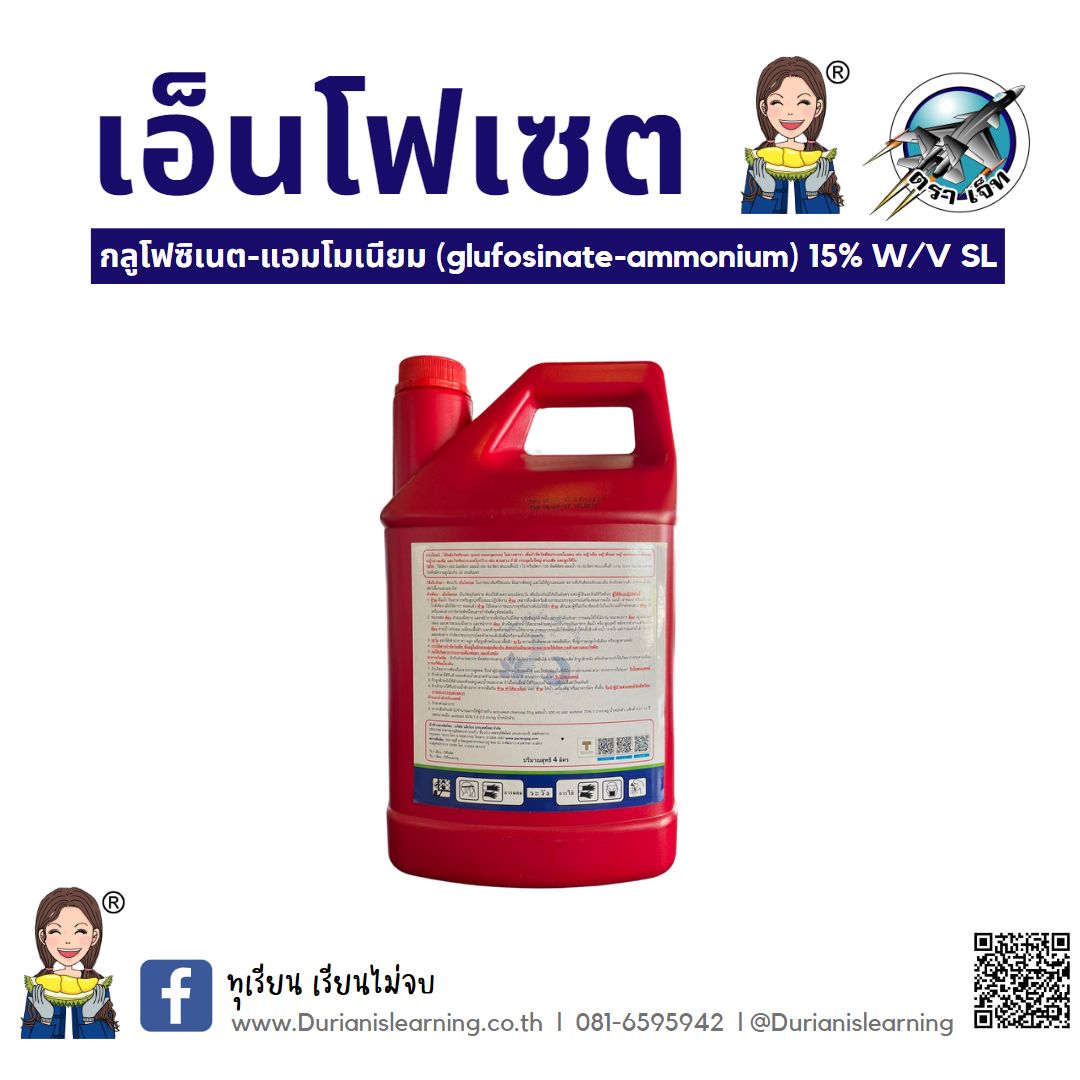 เอ็นโฟเซต #H (6x4 L.) ยกลัง 6 แกลอน กลูโฟซิเนต-แอมโมเนียม (glufosinate-ammonium) 15% W/V SL