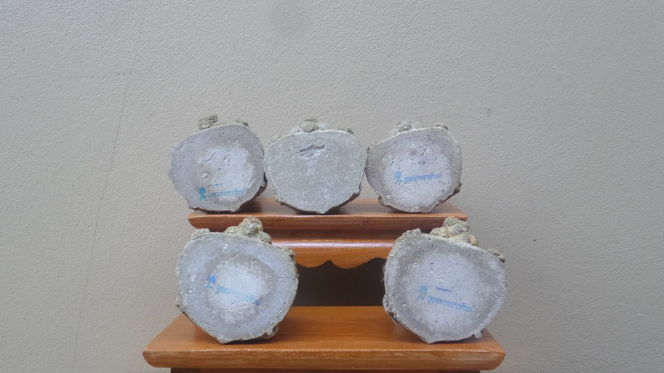 กุมารทอง กุมารหนูแดงคงเพรช (รุ่นที่9 พยัคฆราชราชันย์) ปี2559 #รับประกันแท้ - สำนัก บ้านกุหลาบราชันย์