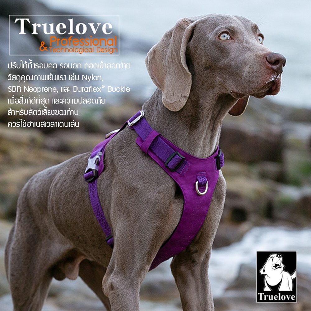 C182 TRUELOVE TH ปลอกคอรัดอกสุนัข ฮาเนสรัดอกแบบเบา Light-weight Pet Harness ออกแบบให้เบาบางใส่สบาย ขยับง่าย