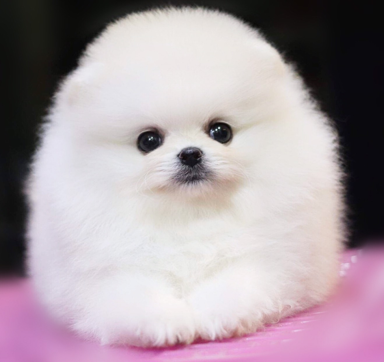 ย้ายบ้านแล้ว ผญ