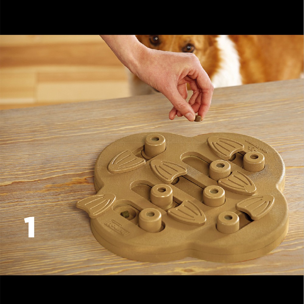 C138 Kyjen Outward hound ของเล่นฝึกบริหารสมองสุนัข ฝึกดมกลิ่น ดึงความสนใจได้เป็นอย่างดี Dog Puzzle Hide n' Slide & Worker ความยากระดับ 2-3