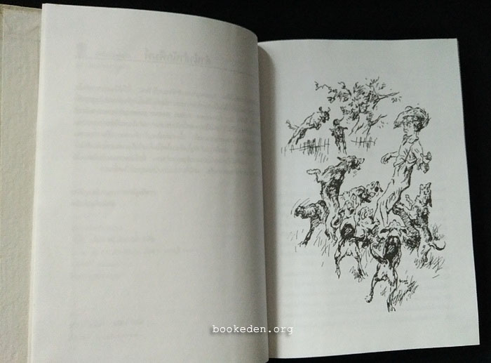 การผจญภัยของฮักเกิลเบอร์รี่ ฟินน์ (ปกแข็ง)