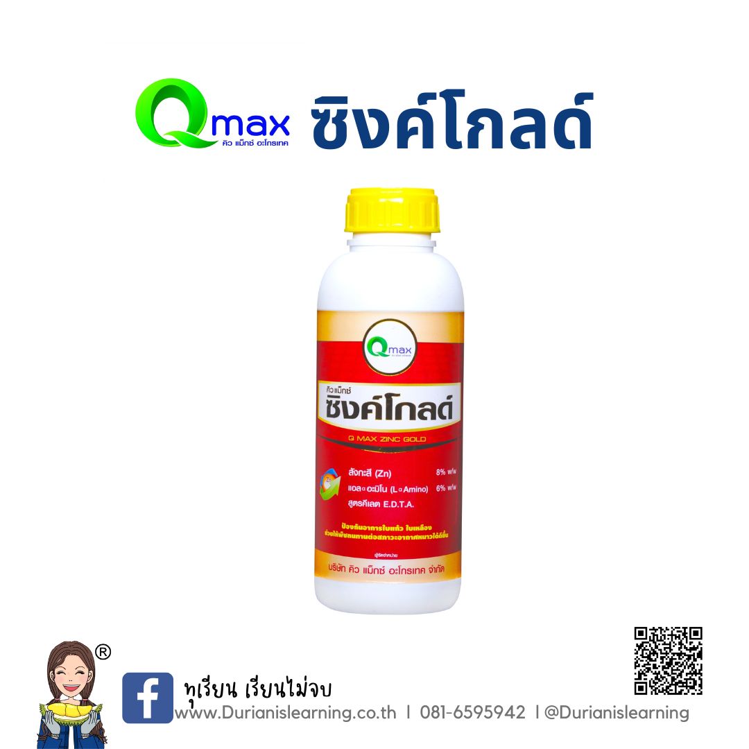 คิวแมกซ์ ซิงค์โกลด์ ยกลัง 12 ลิตร
