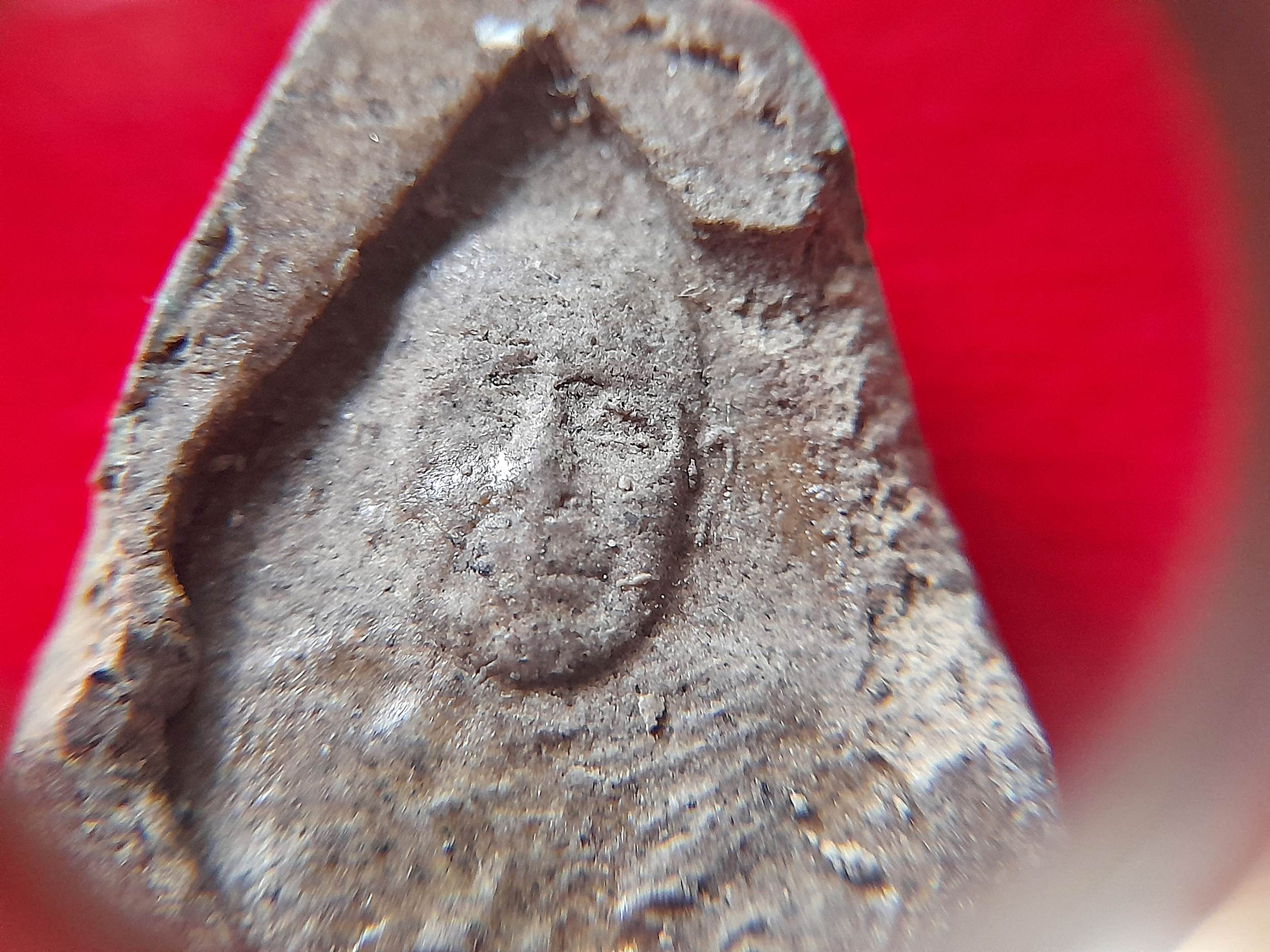 พระปิดตา หลัง ครึ่งองค์หลวงพ่อยงยุทธ เนื้อผง (แก่มวลสาร หลวงพ่อแก้ว วัดเครือวัลย์) #รับประกันแท้และทัน - หลวงพ่อยงยุทธ วัดเขาไม้แดง จ.ชลบุรี