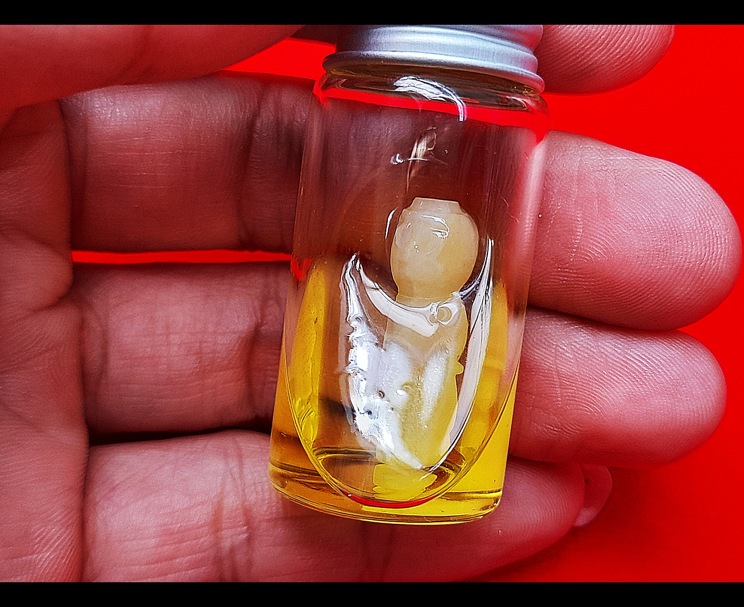 กุมารบังเกิดทรัพย์ เนื้อกระดูกวัว (แช่น้ำมันจันทร์) รุ่นแรก ปี2564 #รับประกันแท้