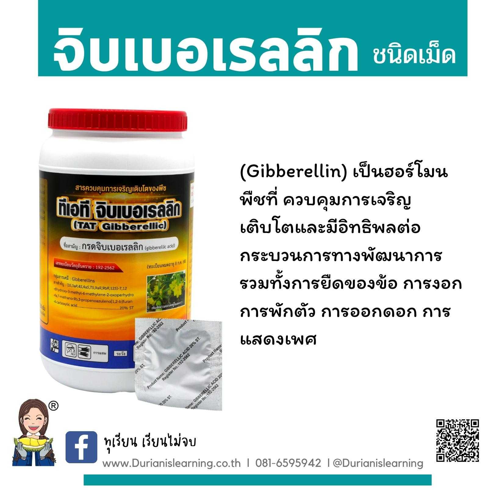 จิบเบอเรลลิก ดึงยอด ป้องกันขั้วสั้น ลดการติดสารแบ่งขายเป็นเม็ด
