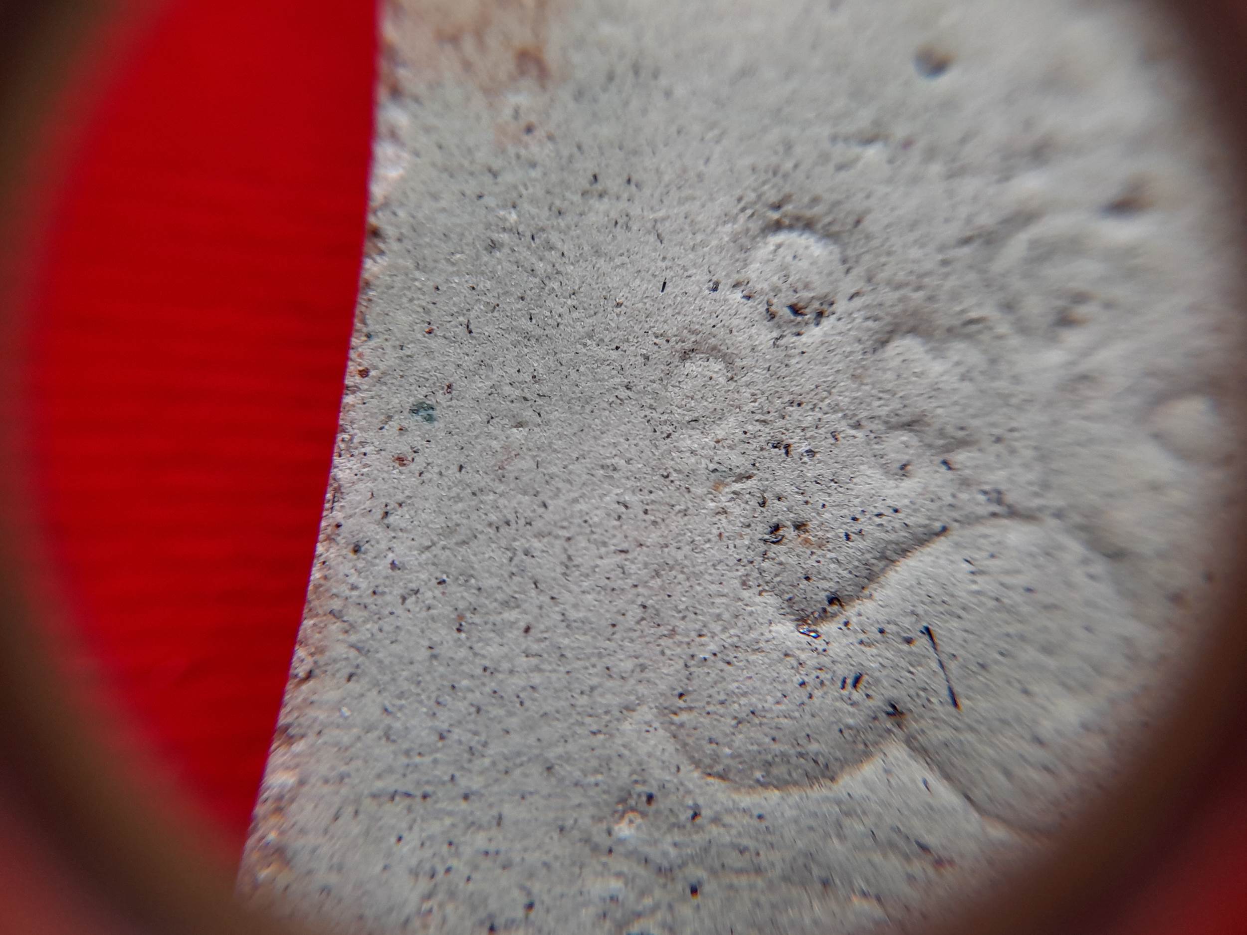 พระแหวกม่าน หลังยันต์นะพรชัย (มีเส้นผมเกศา) รุ่น2 ปี2525 (ชุดพระเครื่องที่บรรจุไห) #รับประกันแท้และทันยุค - หลวงพ่อยงยุทธ วัดเขาไม้แดง จ.ชลบุรี