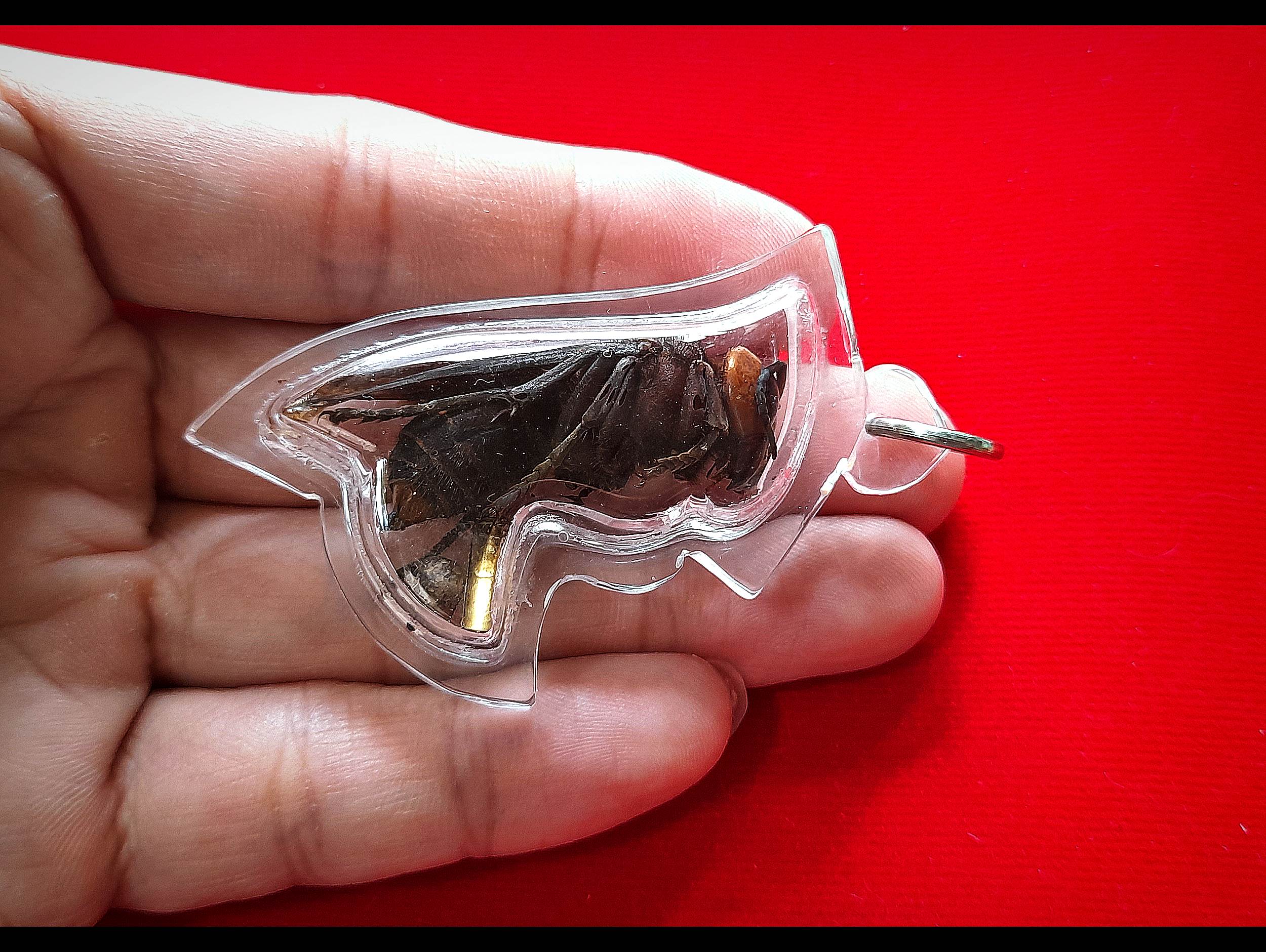 พญาต่อเงินต่อทอง (ใช้ ตัวต่อจริงที่ตายแล้ว) + ตะกรุดเรียกเงินเรียกทอง + เม็ดธาตุกายสิทธิ์เหล็กไหลเงินคำ ปี2560 (อานุภาพ เรียกเงิน โชคลาภ ค้าขาย เจรจา) #รับประกันแท้ - พระครูบาเหนือชัย (พระขี่ม้า)