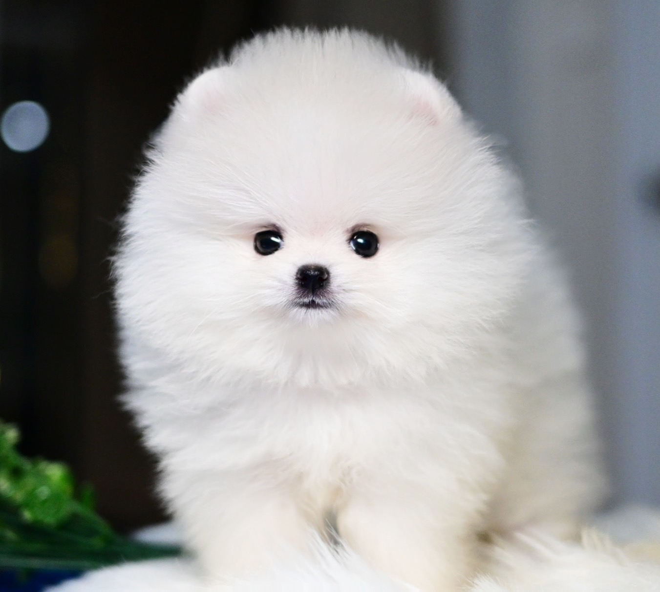 ย้ายบ้านแล้ว