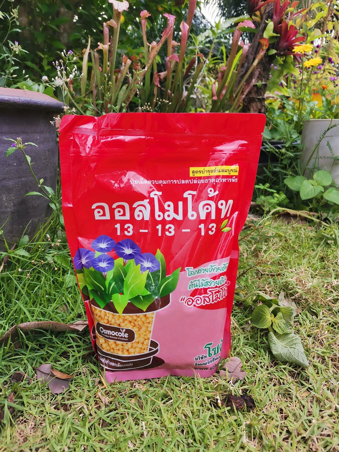 ปุ๋ยออสโมโค้ท สูตร 13-13-13 (Osmocote 13-13-13) ขนาด 1 กิโลกรัม ไม่มีกล่อง
