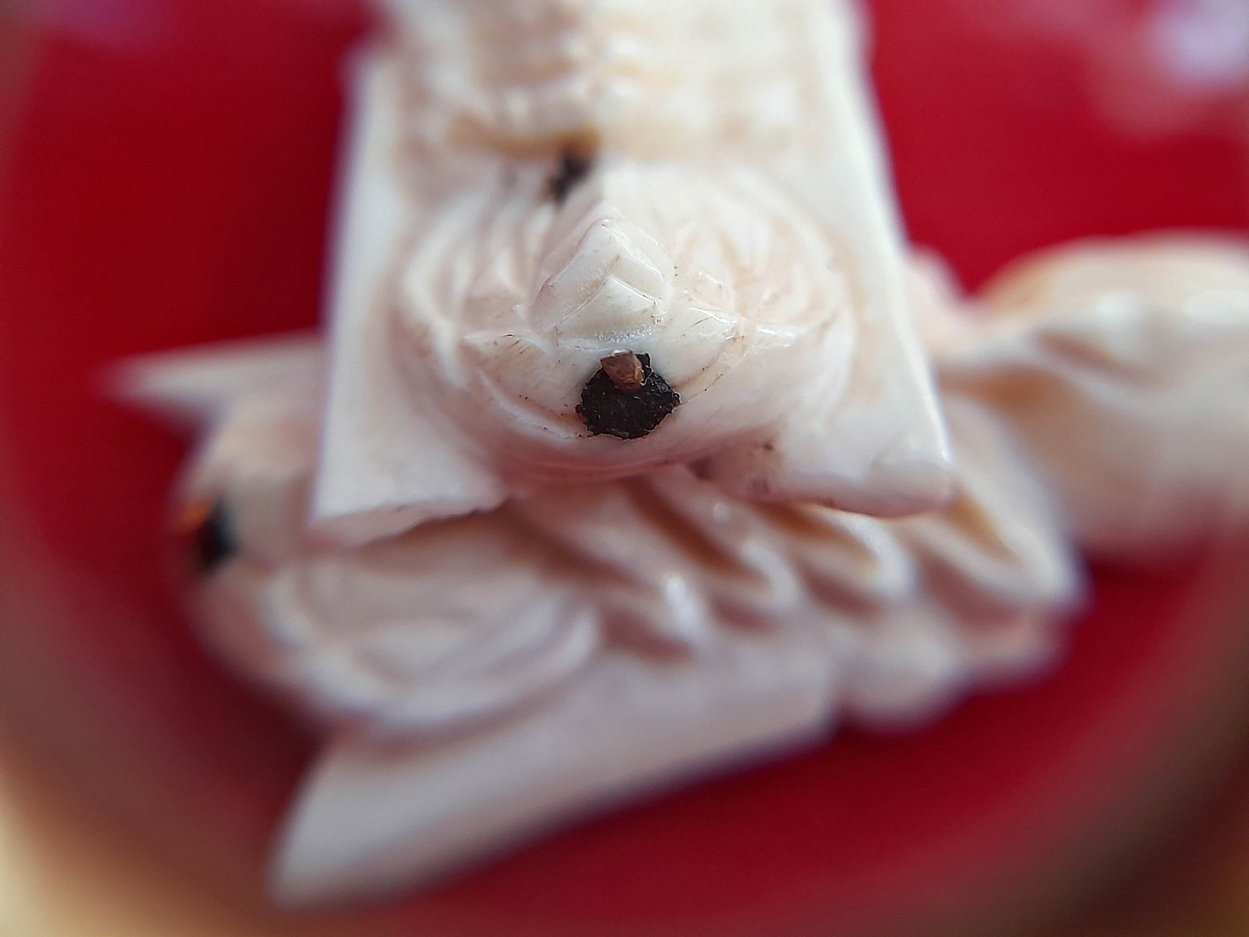 แมลงภู่ งาช้างแท้ (บรรจุเข็มทองคำ+ปรอทสำเร็จ+ยาวาสนาจินดามณี) ปี2566 #รับประกันแท้