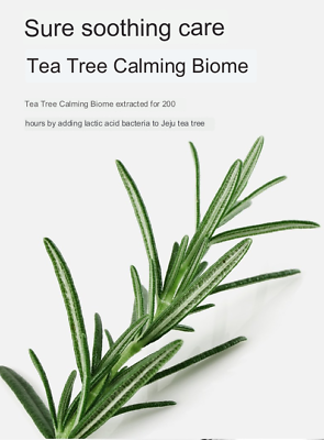 (ฉลากไทย เขียว) Mediheal Teatree Trouble Pad 170mL 100 แผ่น เมดิฮีลโทนเนอร์แพด สูตรสำหรับผิวเป็นสิวและผิวมัน เคลียร์ผิวใสด้วยสารสกัดทีทรี จัดการสิว และควบคุมความมัน