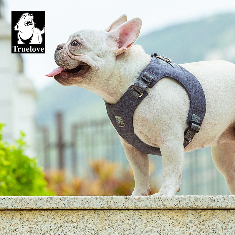C179 TRUELOVE TH Light Comfortable Harness ปลอกคอรัดอกสุนัข ใส่แล้วแนบตัว วัสดุรักโลก ไม่ระคายเคืองผิว ใส่สบาย