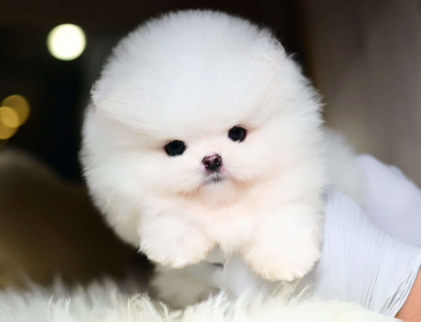 ย้ายบ้านแล้ว