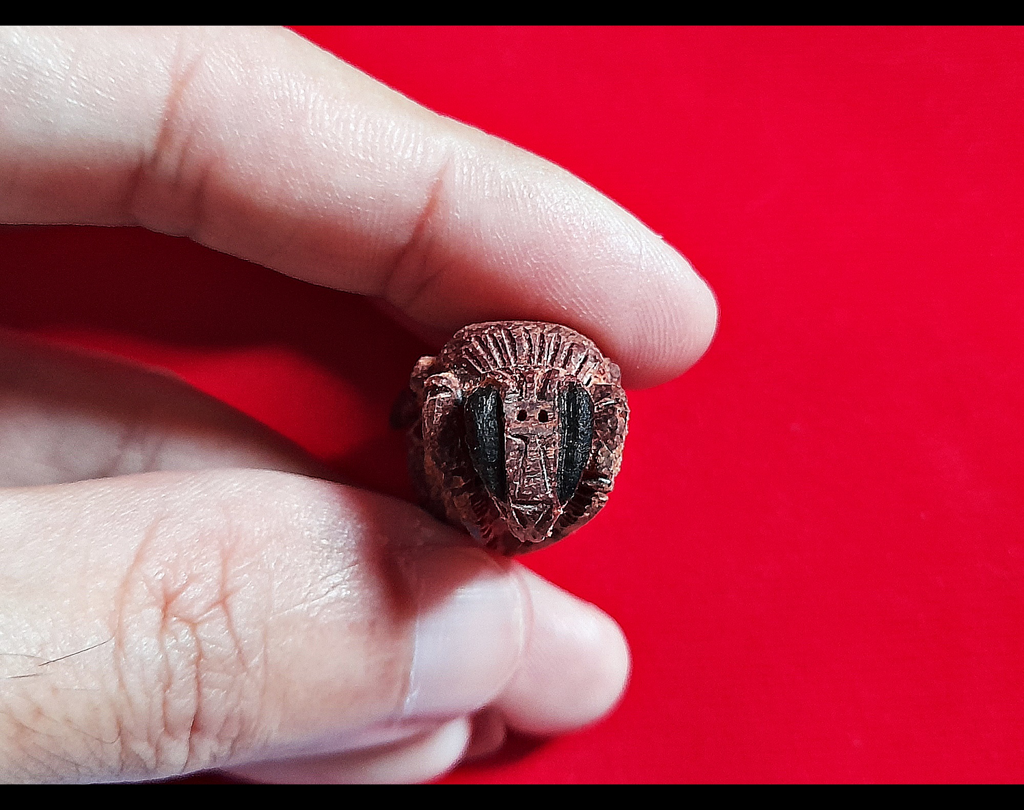 แมลงภู่ (เทพจำแลงอารักษ์) ปีกดำ #ตัวใหญ่ เนื้อไม้ดุมล้อเกวียน (งานแกะทำมือทุกขั้นตอนทีละองค์ ตามสูตรโบราณล้านนา) (ปลุกเสก3พิธี) ปี2564 #รับประกันแท้ - หลวงพ่อเล็ก วัดท่าขนุน #ปลุกเสก3พิธี