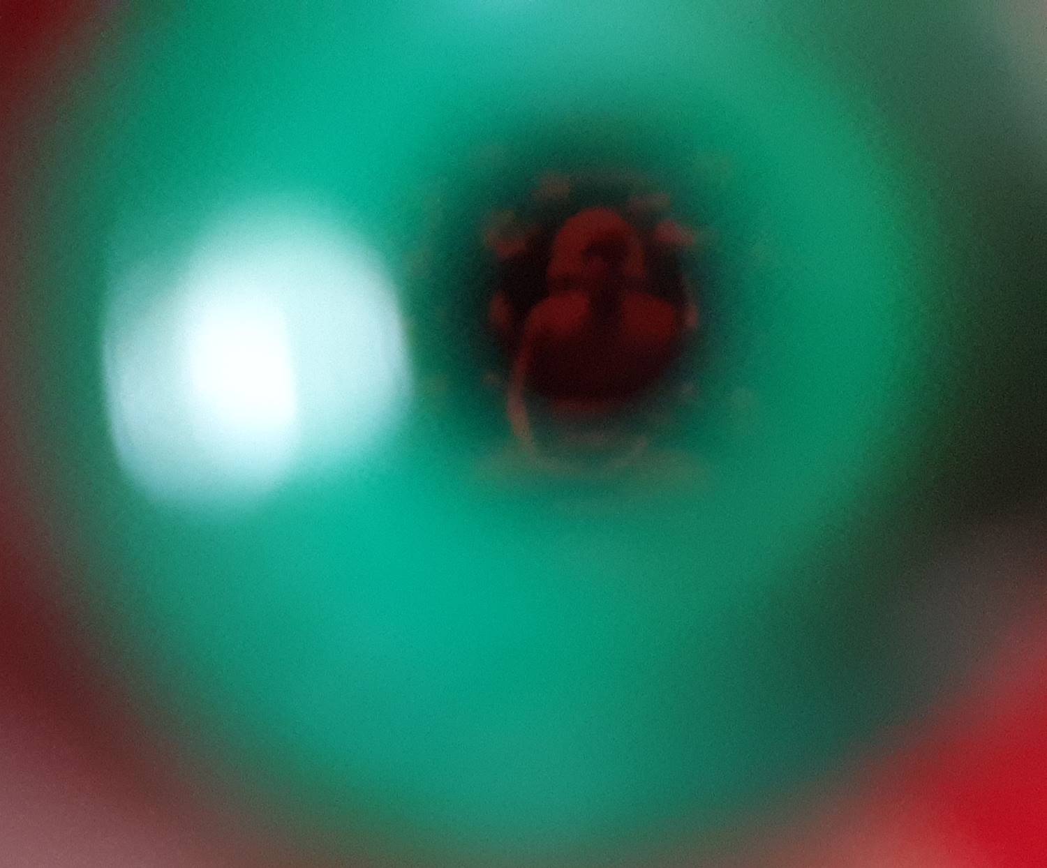 น้ำเต้า(สีเขียวเหนียวทรัพย์) หลวงพ่อสด วัดปากน้ำภาษีเจริญ (ด้านในมีรูปหลวงพ่อสด) - ปลุกเสกโดยวิชาธรรมกายสายหลวงพ่อสด #รับประกันแท้