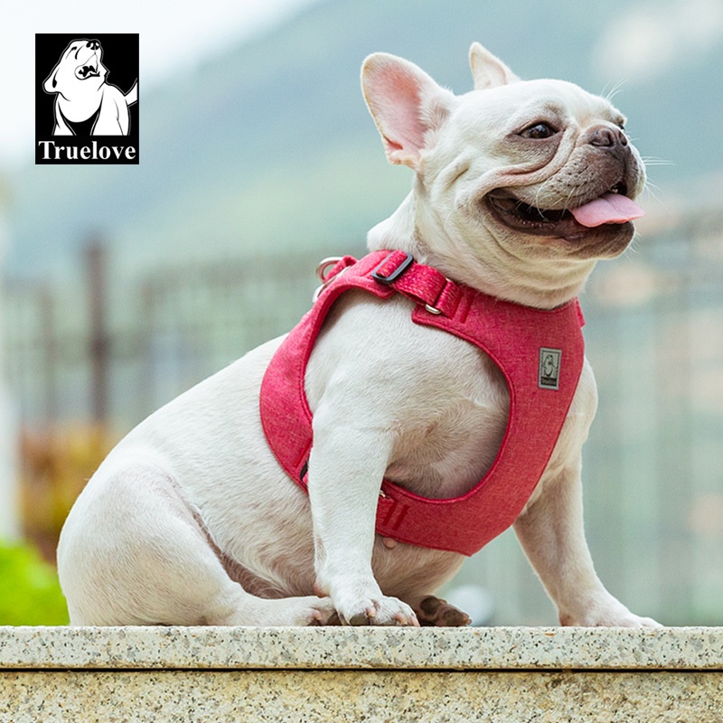 C179 TRUELOVE TH Light Comfortable Harness ปลอกคอรัดอกสุนัข ใส่แล้วแนบตัว วัสดุรักโลก ไม่ระคายเคืองผิว ใส่สบาย