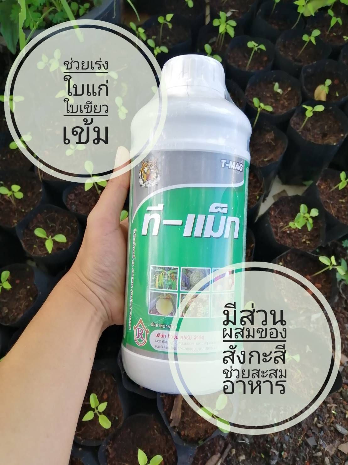 ที-ซีรีย์ อาหารพืช